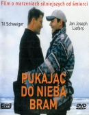 Powiększ